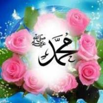 ممدوح زكريا
