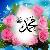 ممدوح زكريا