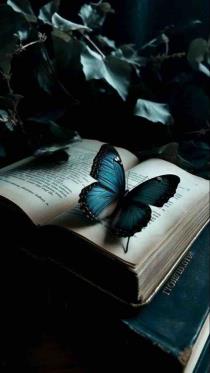 مـنـال 🦋