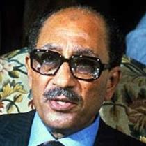 mohammad elshafie