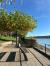 لا يوجد صوره