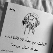 Amr Amer