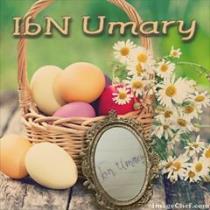 Abdul-rasheed IbN-umary