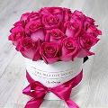 Nour El Houda Alhoudhoud