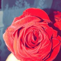 Zainab💙✨.