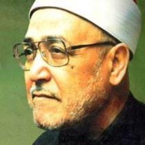 احمد الأزهرى