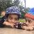 Elham Alktherei