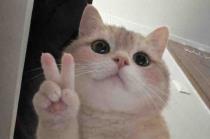 im5tom