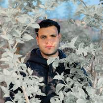 Reda Ahmed