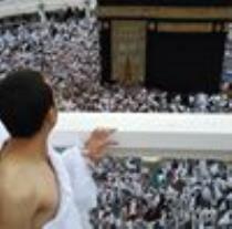 محمد النقيب