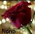 لا يوجد صوره