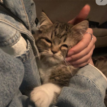 رِيِّتٍّاجِّ مِّهِّنِّدٍّ ثٍّانِّيِّ جِّ Sodany