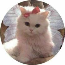 سلمى سناء