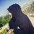 لا يوجد صوره