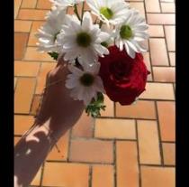 Loulou Lily