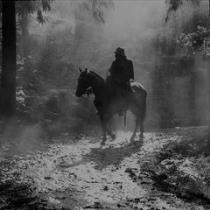 Mohammed Salim Al-Maliki