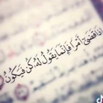 Shrouk Mohamed