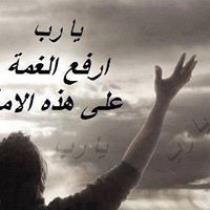 احمد سعد محمود