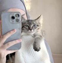 Heba Al Salhy