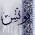 لا يوجد صوره