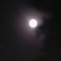 عباس عباس
