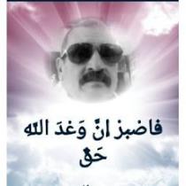 0/magdy elhawary
