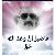 0/magdy elhawary