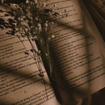 أحمد عبد الكريم