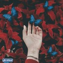 Fatma Adel