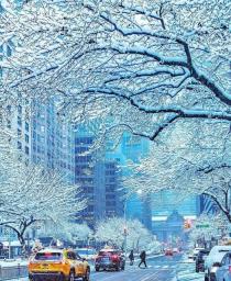 تقى عبد الله