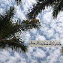 سعيدة الوجيه